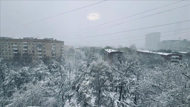 Ngay từ đêm 26/4, tuyết đã rơi dày đặc, bao phủ ở thủ đô Moskva. Ảnh: Trần Hải - PV TTXVN tại Nga 