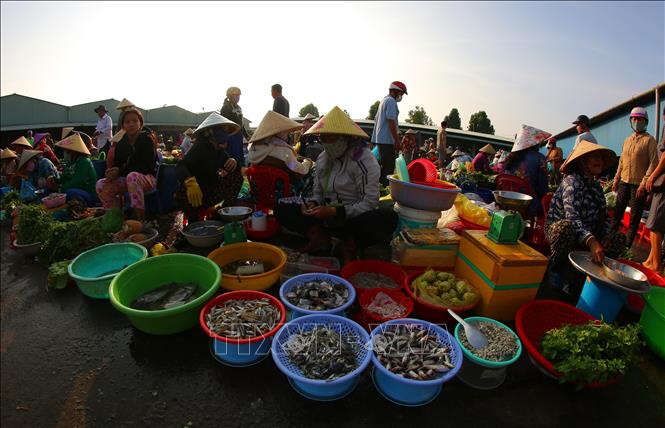 Rau vườn, trái cây là cây nhà, cá là bắt dưới mương lên còn tươi xanh. Ảnh: Duy Khương – TTXVN