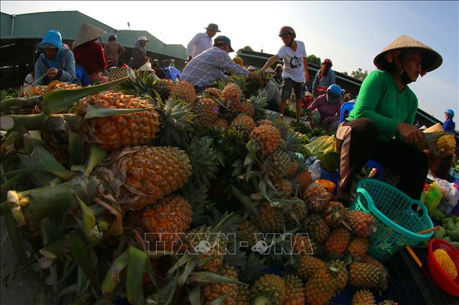 Đặc sản khóm Cầu Đúc nổi tiếng của Cần Thơ tại khu chợ. Ảnh: Duy Khương – TTXVN