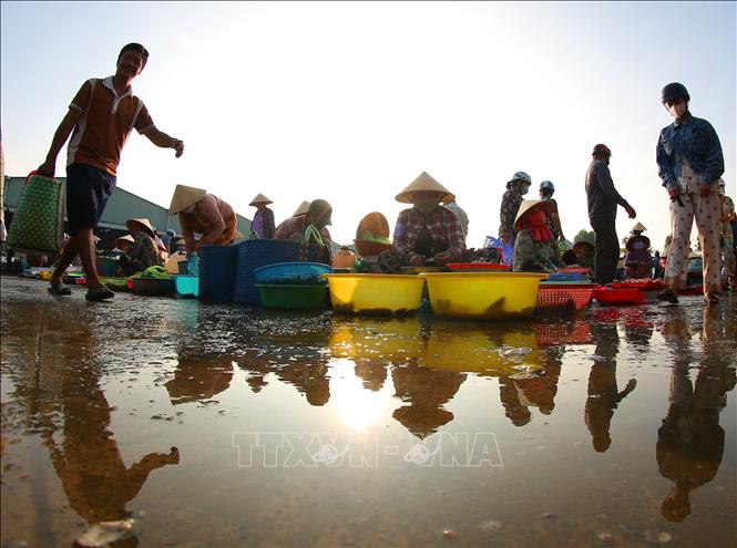 Khu chợ gây “thương nhớ” người đi chợ bởi sự mộc mạc, đặc trưng, đậm chất miền Tây. Ảnh: Duy Khương – TTXVN