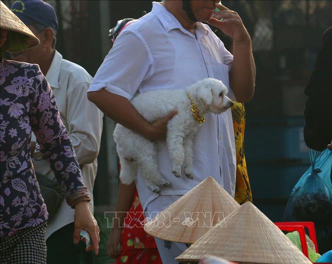 Đi chợ cùng chủ. Ảnh: Duy Khương – TTXVN