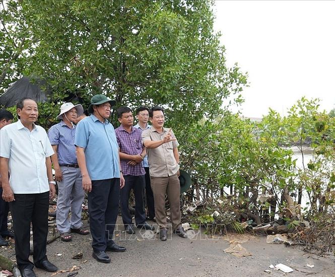 Phó Chủ tịch Thường trực UBND tỉnh Cà Mau Lâm Văn Bi (áo xanh, hàng đầu) cùng đoàn công tác tại buổi kiểm tra, khảo sát. Ảnh: TTXVN phát