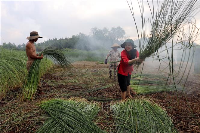 Chị Nguyễn Vũ Cẩm Ngân, ngụ xã Hậu Nghĩa trải nghiệm hoạt động nghề truyền thống. Ảnh: Đức Hạnh - TTXVN
