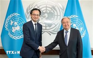 Việt Nam chủ trì Phiên khai mạc Hội nghị Kiểm điểm Hiệp ước NPT lần thứ 11