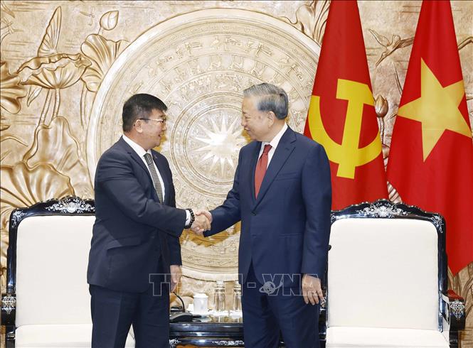 Tổng Bí thư, Chủ tịch nước Tô Lâm tiếp Đại sứ Mông Cổ tại Việt Nam Jigjee Sereejav. Ảnh: Thống Nhất – TTXVN