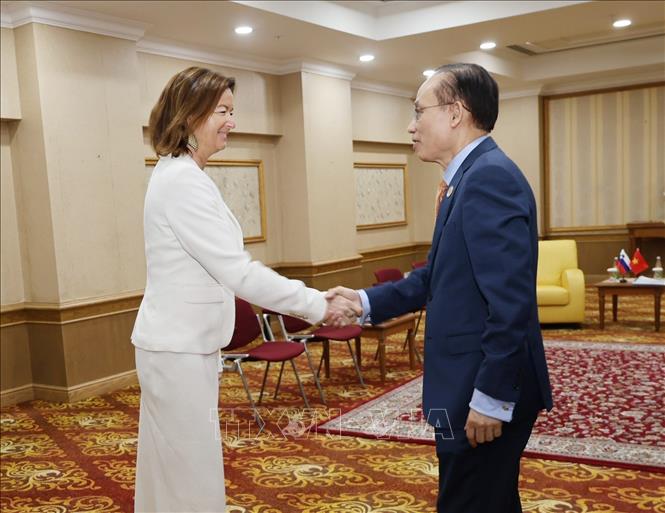 Bộ trưởng Ngoại giao Lê Hoài Trung gặp Phó Thủ tướng, Bộ trưởng Ngoại giao và các vấn đề châu Âu Slovenia Tanja Fajon. Ảnh: Bùi Hoàn - PV TTXVN từ Brunei