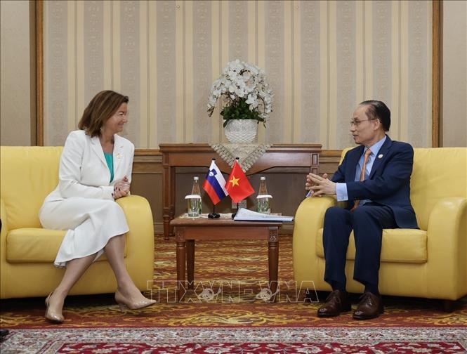 Bộ trưởng Ngoại giao Lê Hoài Trung gặp Phó Thủ tướng, Bộ trưởng Ngoại giao và các vấn đề châu Âu Slovenia, bà Tanja Fajon. Ảnh: Bùi Hoàn - PV TTXVN từ Brunei