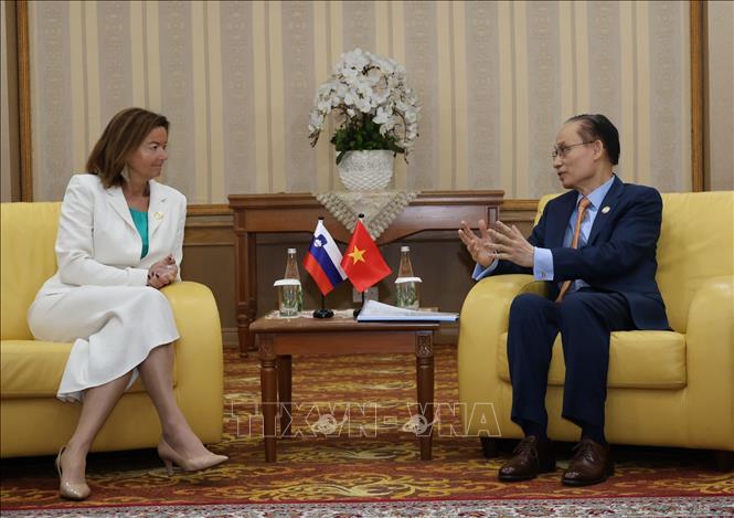 Bộ trưởng Ngoại giao Lê Hoài Trung hội đàm với Phó Thủ tướng, Bộ trưởng Ngoại giao và các vấn đề châu Âu Slovenia, bà Tanja Fajon. Ảnh: Bùi Hoàn - PV TTXVN từ Brunei