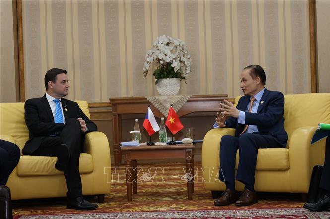 Bộ trưởng Ngoại giao Lê Hoài Trung hội đàm với Bộ trưởng Ngoại giao Séc Petr Macinka. Ảnh: Bùi Hoàn - PV TTXVN từ Brunei