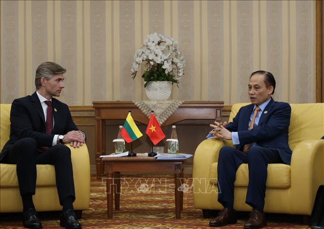 Bộ trưởng Ngoại giao Lê Hoài Trung gặp Bộ trưởng Ngoại giao Lithuania Kęstutis Budrys. Ảnh: Bùi Hoàn - PV TTXVN từ Brunei