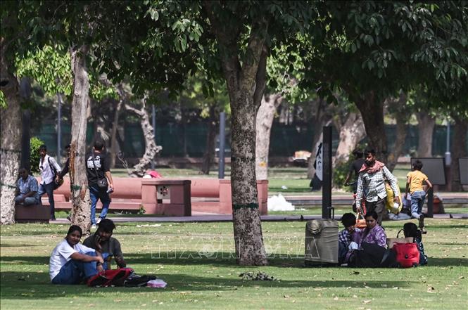 Người dân tránh nắng dưới bóng cây tại New Delhi, Ấn Độ, ngày 26/4/2026. Ảnh: ANI/TTXVN