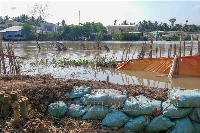 Một tuyến đường giao thông nông thôn ở ấp Phụng An, xã Nhơn Mỹ, thành phố Cần Thơ bị chia cắt do sạt lở. Ảnh: Thanh Liêm - TTXVN