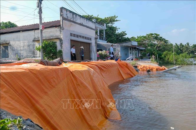 Tuyến đường giao thông ở ấp Phú Tây, xã Nhơn Mỹ bị sụp xuống sông trong vụ sạt lở xảy ra ngày 23/4/2026. Ảnh: Thanh Liêm - TTXVN