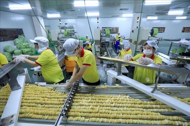 Dịch COVID-19 kéo dài trong nhiều tháng ảnh hưởng không nhỏ đến sản xuất, kinh doanh nhưng Nhà máy Richy miền Bắc Bắc (thị trấn Phùng, Đan Phượng, Hà Nội) với gần 300 công nhân đã có những hành động cụ thể để đảm bảo thực hiện “mục tiêu kép” vừa phòng, chống dịch, vừa phát triển sản xuất, kinh doanh, ổn định việc làm cho người lao động. Ảnh: Tuấn Anh - TTXVN