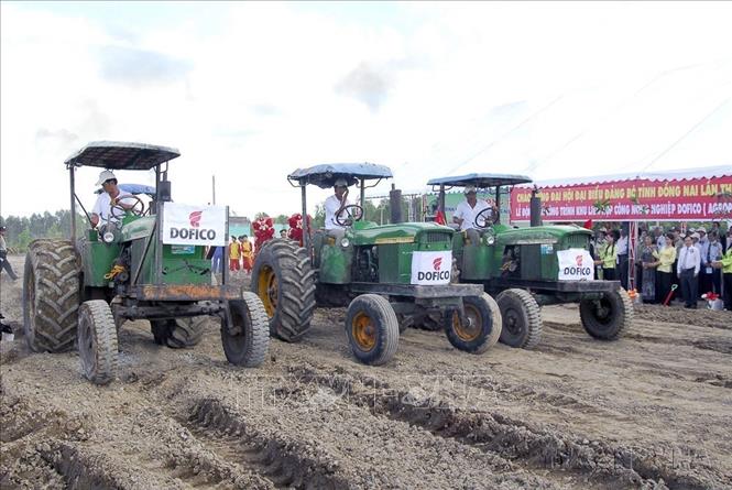 Lễ động thổ xây dựng công trình Khu liên hợp công nông nghiệp DOFICO (Tổng công ty Công nghiệp thực phẩm Đồng Nai) tại xã Xuân Thành (Xuân Lộc, Đồng Nai), ngày 19/9/2010. Ảnh: Hoàng Hải-TTXVN.
