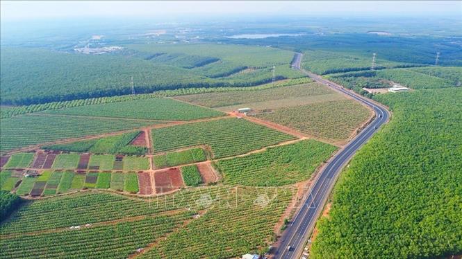 Việc sở hữu vùng nguyên liệu quy mô lớn giúp Đồng Nai mới trở thành “cực tăng trưởng” thu hút hàng loạt doanh nghiệp chế biến trong và ngoài nước với hàng chục nhà máy chế biến hạt điều, cao su, cà phê và hồ tiêu đạt chuẩn xuất khẩu sang các thị trường khó tính như châu Âu, Hoa Kỳ, Nhật Bản...Trong ảnh: Vùng trồng cây cao su của Đồng Nai. Ảnh: Nhật Bình – TTXVN