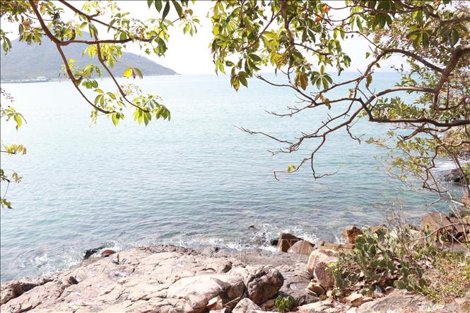 Một góc bến Hòn Hèo, nơi Tàu C235 có các mảnh vỡ văng lên được người dân tìm thấy. Ảnh: Phan Sáu - TTXVN