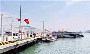 Miễn, giảm giá vé cho cư dân tuyến đảo Cô Tô, Vân Đồn khi qua bến cảng Ao Tiên