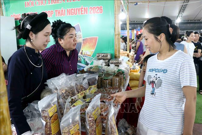 Người dân mua sản phẩm tại hội chợ. Ảnh: Trần Trang-TTXVN 
