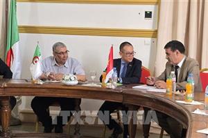 Việt Nam thúc đẩy hợp tác đa lĩnh vực với địa phương Algeria