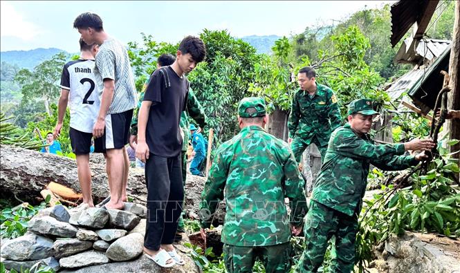 Bộ đội biên phòng Đồn biên phòng xã Mường Ải tham gia hỗ trợ gia đình ông Lương Xuân Việt (bản Pủng, xã Mường Típ) bị cây đổ gây thiệt hại. Ảnh: TTXVN phát