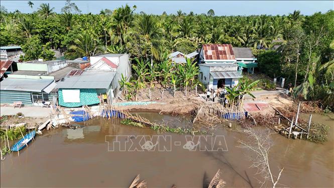 Hiện trường vụ sạt lở bờ sông Phụng An tại ấp Phụng An, xã Nhơn Mỹ ngày 23/4/2026 làm sụp tuyến đường giao thông ven sông, đe dọa nhà dân. Ảnh: Thanh Liêm - TTXVN