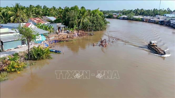 Sạt lở chủ yếu xảy ra tại các đoạn sông cong, dòng chảy mạnh gây xói mòn kết hợp với triều cường và mưa lớn kéo dài trên nền đất yếu. Ảnh: Thanh Liêm - TTXVN