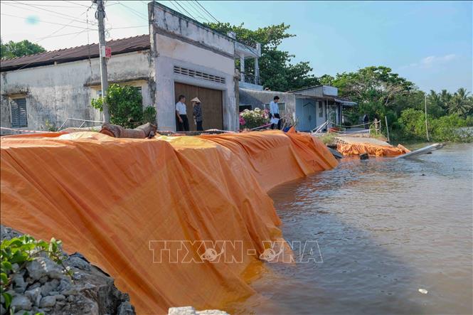 Chính quyền địa phương trải bạt gia cố tạm điểm sạt lở ở ấp Phú Tây, xã Nhơn Mỹ. Ảnh: Thanh Liêm - TTXVN
