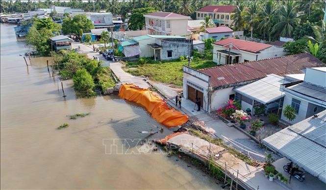 Điểm sạt lở tại ấp Phú Tây, xã Nhơn Mỹ khiến giao thông bị chia cắt, ảnh hưởng đến hàng ngàn học sinh và người dân sinh sống trong khu vực. Ảnh: Thanh Liêm - TTXVN