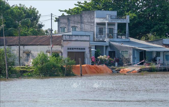 Điểm sạt lở xảy ra ngày 23/4/2026 tại ấp Phú Tây, xã Nhơn Mỹ làm sụp đường, đe dọa nhà dân. Ảnh: Thanh Liêm - TTXVN