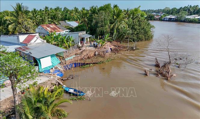 Hiện trường vụ sạt lở bờ sông Phụng An tại ấp Phụng An, xã Nhơn Mỹ ngày 23/4/2026 làm sụp tuyến đường giao thông ven sông, đe dọa nhà dân. Ảnh: Thanh Liêm - TTXVN