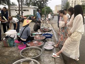 Chợ cá Sầm Sơn - Bản giao hưởng mặn mòi nơi cửa biển