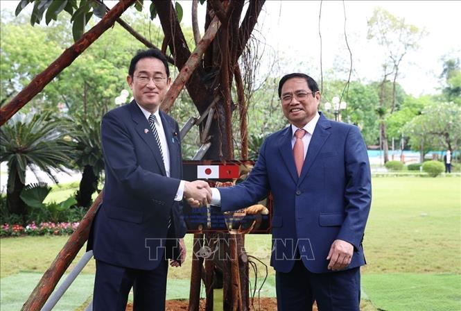 Thủ tướng Nhật Bản Kishida Fumio cùng Thủ tướng Phạm Minh Chính trồng cây lưu niệm tại Phủ Chủ tịch, trong chuyến thăm chính thức Việt Nam (Hà Nội, 1/5/2022). Ảnh: Dương Giang – TTXVN