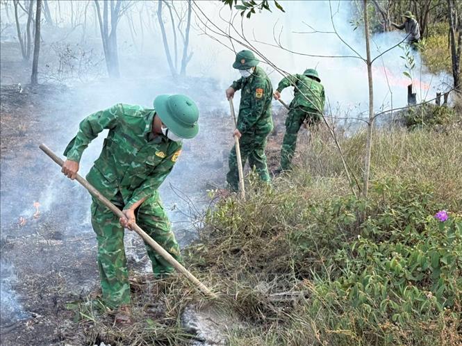 Các lực lượng chức năng triển khai công tác khống chế, dập tắt đám cháy rừng phòng hộ. Ảnh: TTXVN phát