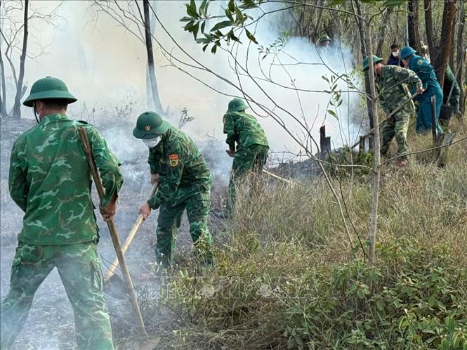 Các lực lượng chức năng triển khai công tác khống chế, dập tắt đám cháy rừng phòng hộ. Ảnh: TTXVN phát