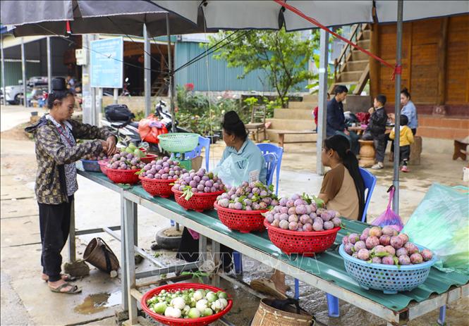 Người dân bày bán mận bên Quốc lộ 279. Ảnh: Xuân Tư – TTXVN