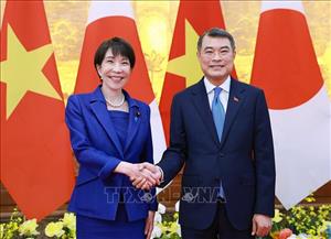 Thủ tướng Lê Minh Hưng hội đàm với Thủ tướng Nhật Bản Takaichi Sanae