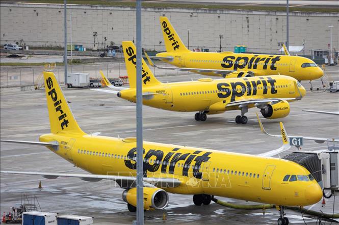 Máy bay của Hãng hàng không Spirit Airlines tại sân bay quốc tế Fort Lauderdale - Hollywood ở thành phố Fort Lauderdale, bang Florida, Mỹ ngày 23/4/2026. Ảnh: REUTERS/TTXVN