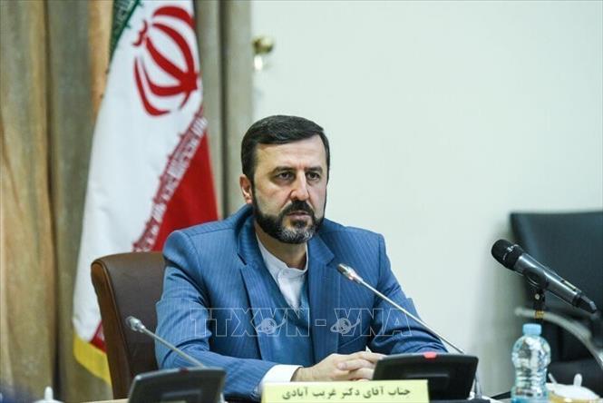 Thứ trưởng Ngoại giao Iran Kazem Gharibabadi. Ảnh: IRNA/TTXVN