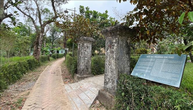 Tường ngăn cách các ngôi nhà là hàng tàu chè xanh ngắt thẳng tắp tạo không gian xanh cho làng cổ Phước Tích. Ảnh: Văn Dũng-TTXVN