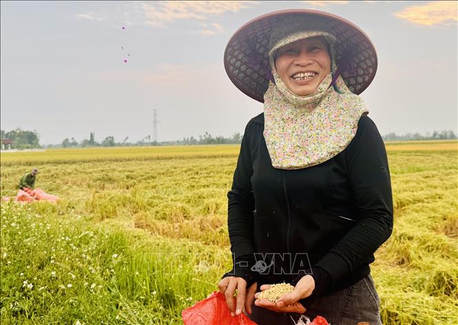 Niềm vui được mùa trên gương mặt nông dân Hà Tĩnh. Ảnh: Hoàng Ngà - TTXVN