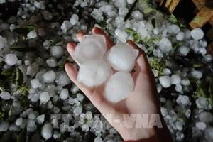 Mưa đá và dông lốc tàn phá Thái Nguyên