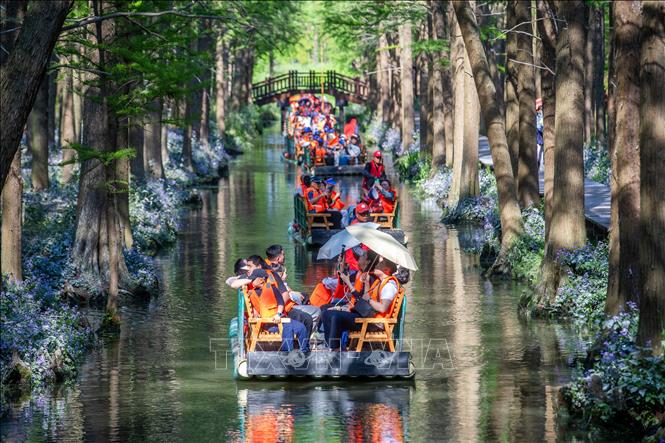 Khách du lịch tại tỉnh Giang Tô, Trung Quốc. Ảnh: THX/TTXVN