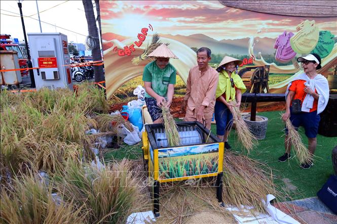 Du khách hào hứng trải nghiệm làm nông dân tại chương trình mùa du lịch biển ở Đà Nẵng. Ảnh: Trần Lê Lâm - TTXVN 