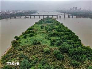 Hiện trạng đất bãi sông Hồng trước đề xuất mô hình nông nghiệp kết hợp du lịch
