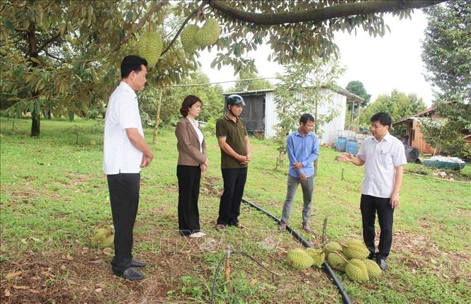 Chủ tịch UBND xã Bù Đăng Nguyễn Thanh Tùng (phải) kiểm tra thực tế, thăm hỏi, động viên các hộ dân bị ahr hưởng do mưa lớn kèm theo lốc xoáy. Ảnh: Đậu Tất Thành – TTXVN.