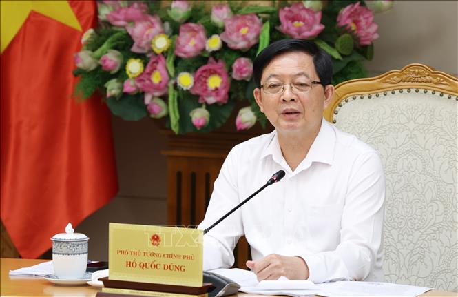 Phó Thủ tướng Hồ Quốc Dũng phát biểu tại cuộc họp. Ảnh: Xuân Tùng-TTXVN