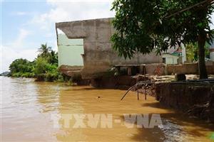 Đồng Tháp: 46km bờ sông sạt lở, dân bất lực nhìn nhà trôi xuống sông