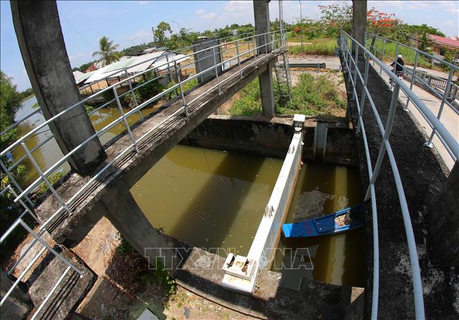 Cống Kênh Lầu, tại xã Hỏa Lựu được đóng, mở dựa trên quan trắc độ mặn liên tục nhằm ngăn mặn cũng như lấy nước ngọt vào nội đồng. Ảnh: Duy Khương – TTXVN