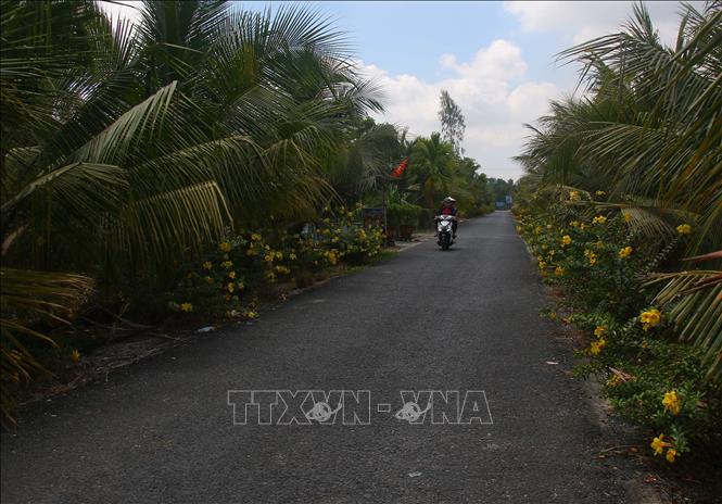 Tuyến đê bao ngăn mặn Long Mỹ - Vị Thanh đảm bảo cho người dân sản xuất nông nghiệp an toàn trong mùa khô 2026. Ảnh: Duy Khương – TTXVN